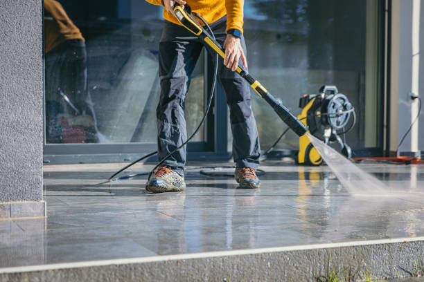 Best Roof Pressure Washing  in Apison, TN